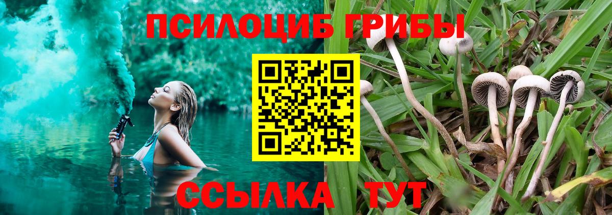 Псилоцибиновые грибы мицелий Губкин