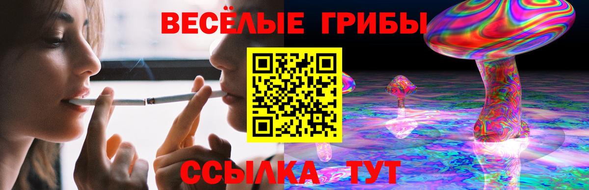 Псилоцибиновые грибы мицелий  Вход с VPN  Губкин 